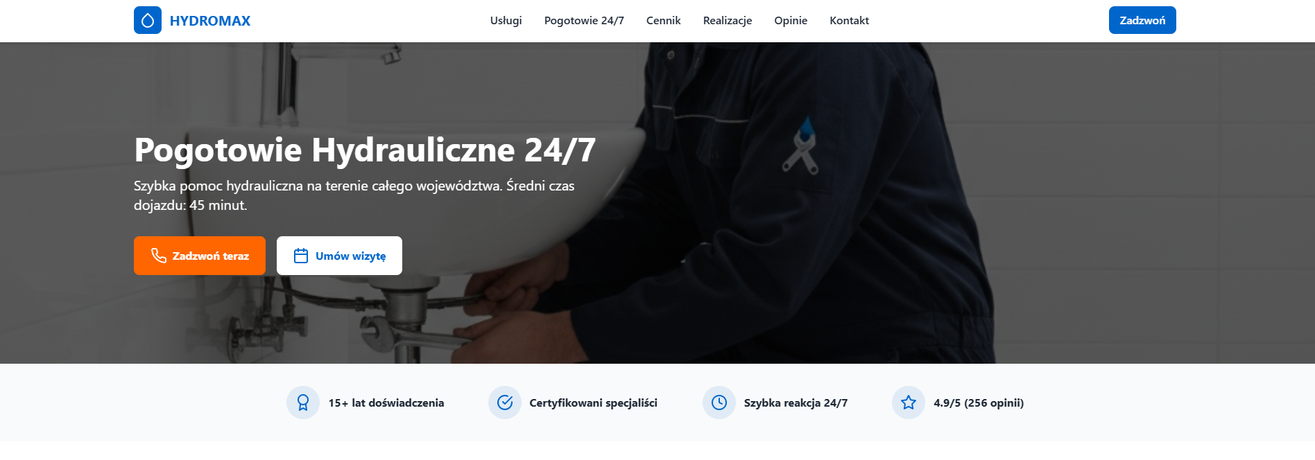 Demo strony hydraulika