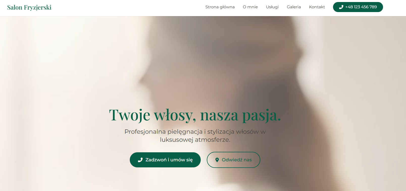 Demo strony salonu fryzjerskiego